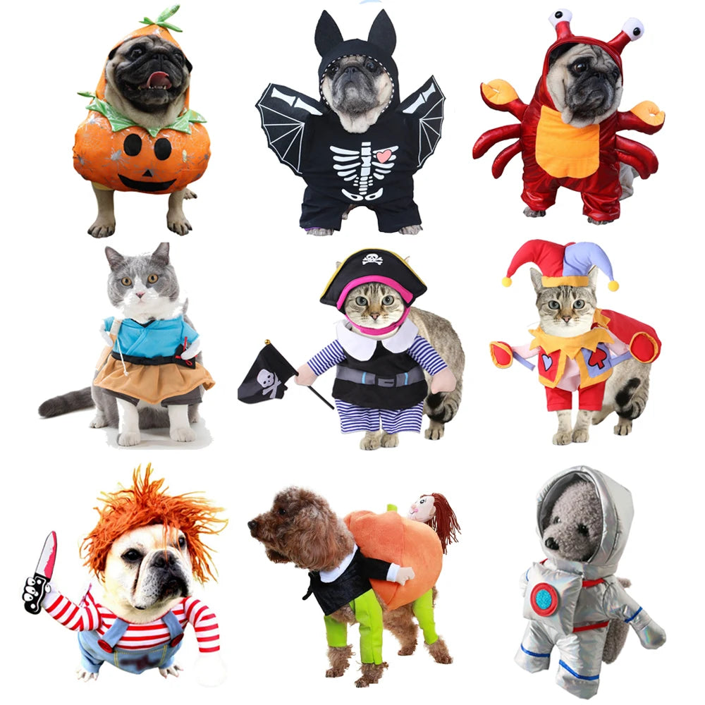 Funny Pet Dogs  Costumes