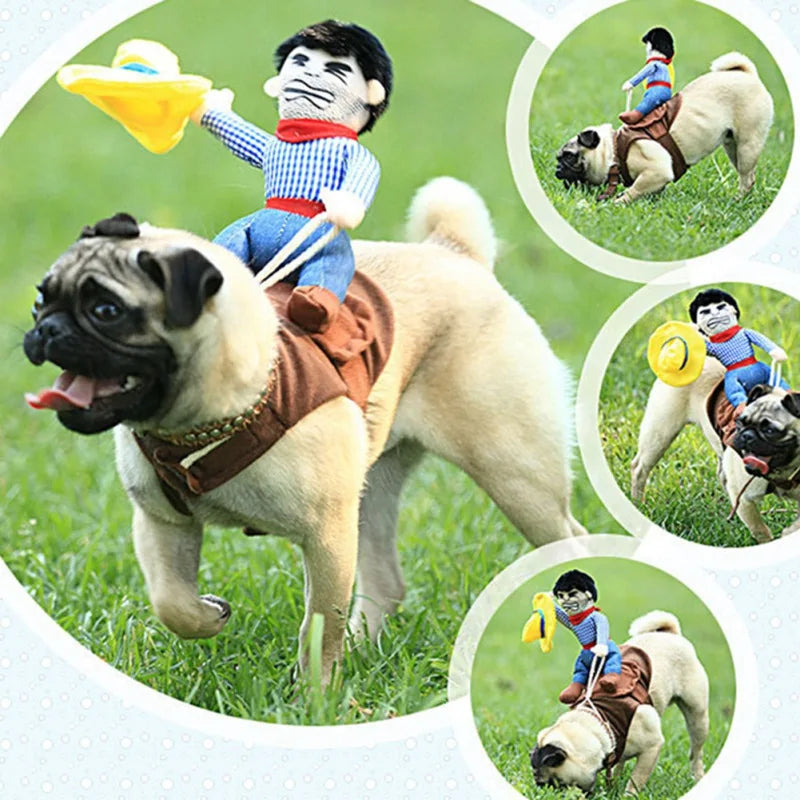 Funny Pet Dogs  Costumes