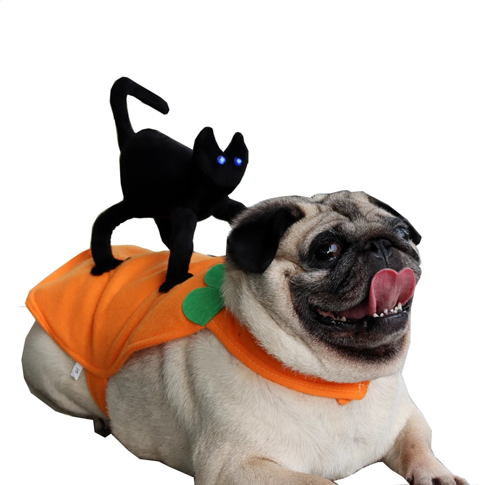 Funny Pet Dogs  Costumes