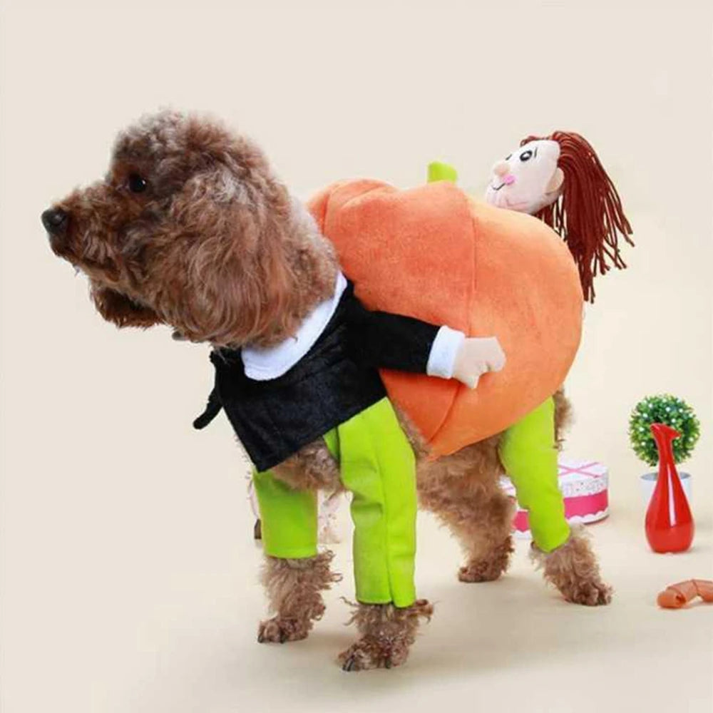 Funny Pet Dogs  Costumes