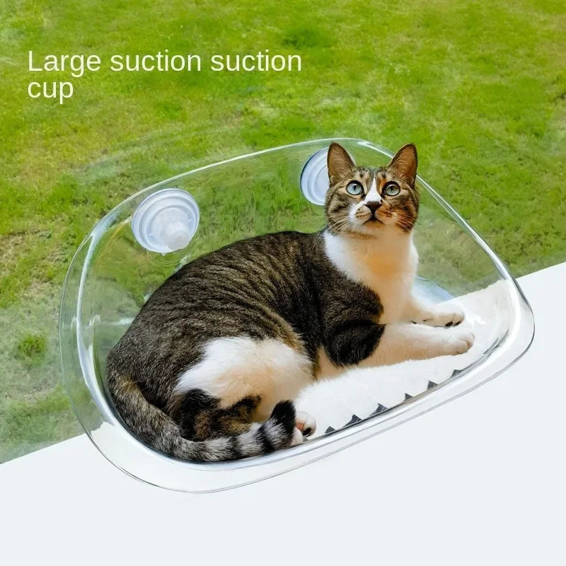 pet bed glass