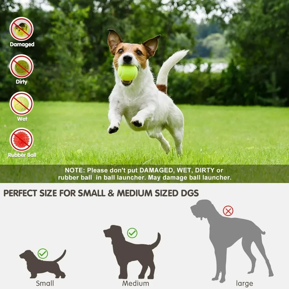 Automatic Ball Thrower for Dogs