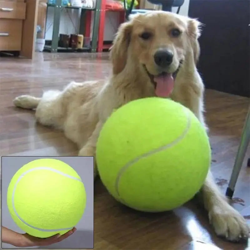 Large Balls For Doggy