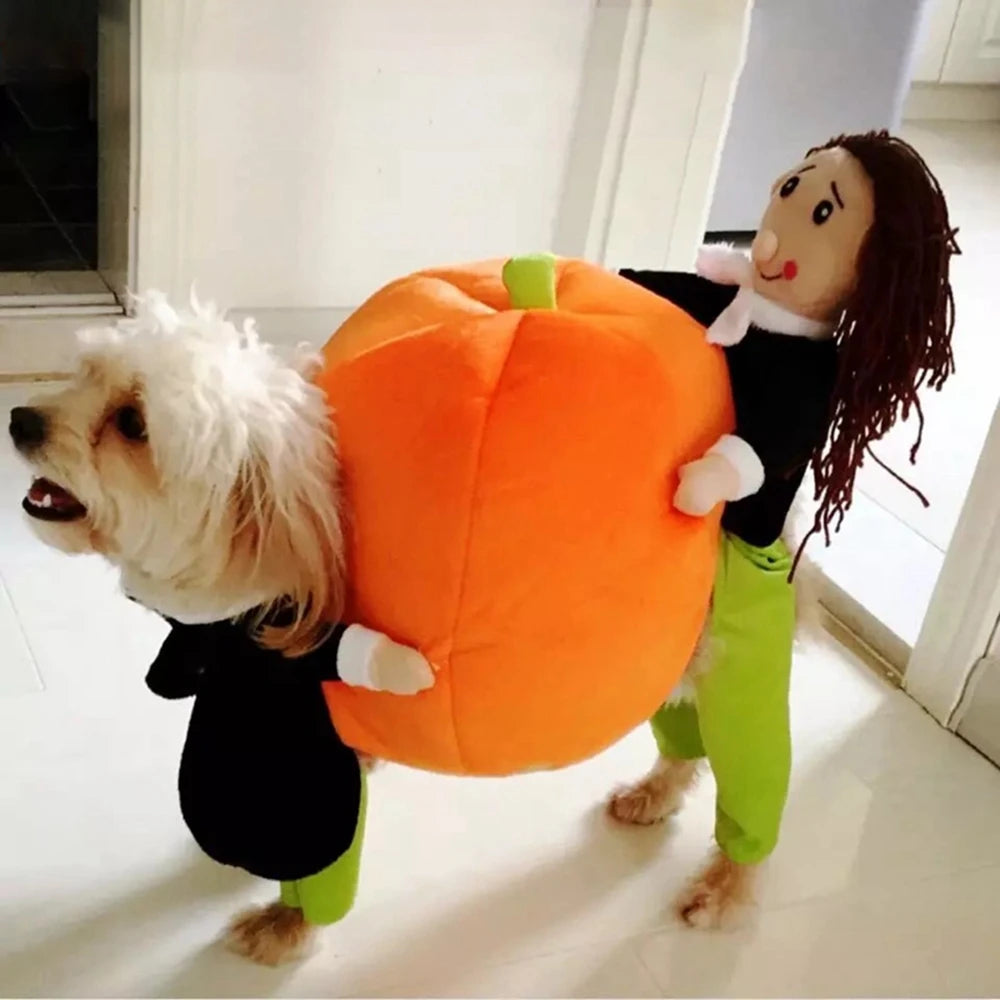 Funny Pet Dogs  Costumes