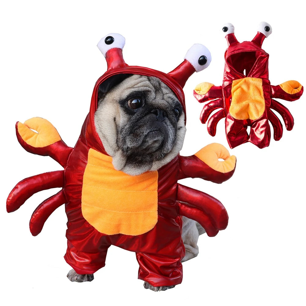 Funny Pet Dogs  Costumes