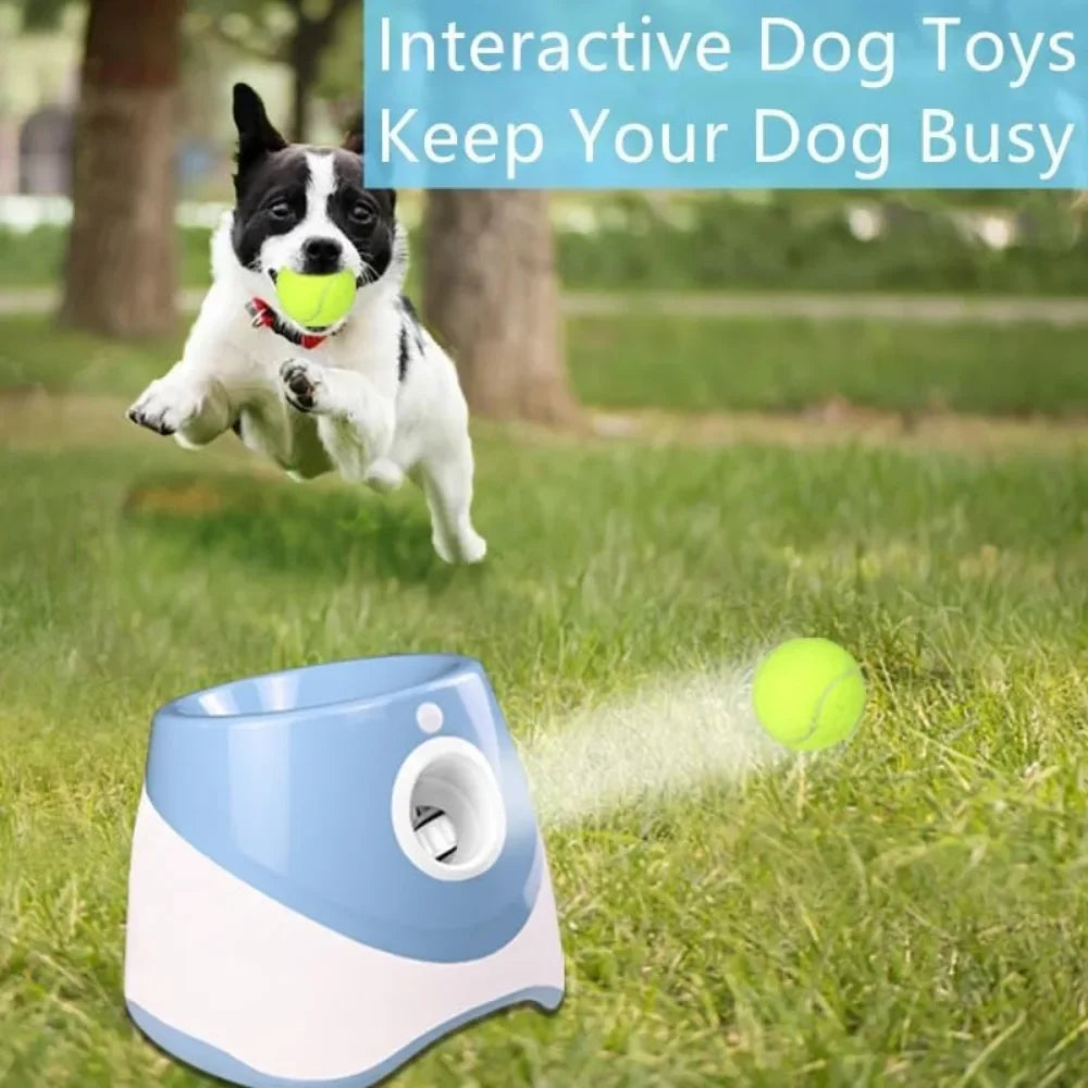 Automatic Ball Thrower for Dogs