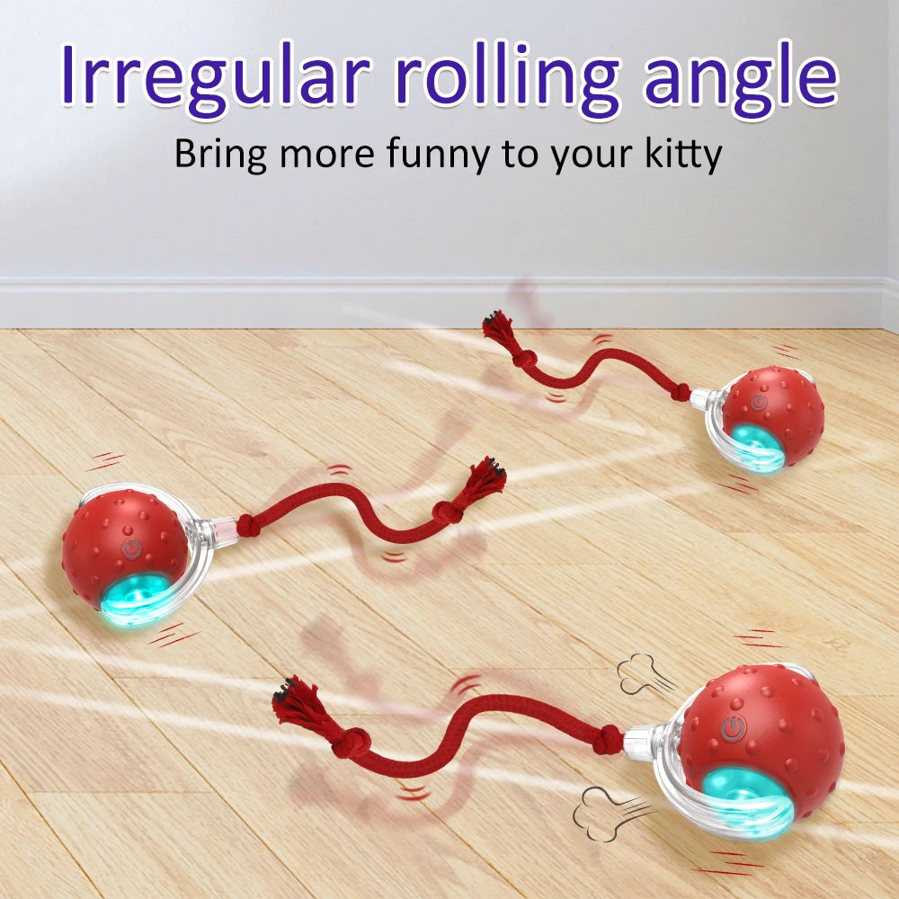 Cat Rolling Ball